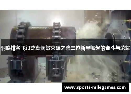 羽联排名飞汀杰蔚阀敏突破之路三位新星崛起的奋斗与荣耀