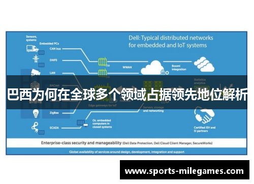 巴西为何在全球多个领域占据领先地位解析