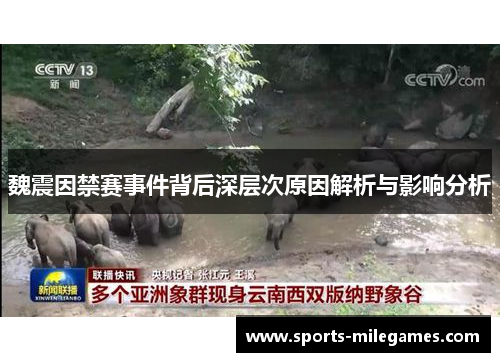 魏震因禁赛事件背后深层次原因解析与影响分析